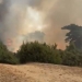 Δασική πυρκαγιά στην Ολλανδία: Έχουν καταστραφεί τουλάχιστον 210 στρέμματα - Βίντεο