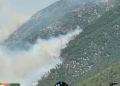 Δείτε βίντεο: Θερμική κάμερα αποτυπώνει το πύρινο μέτωπο στη Λιβαδόστρα Βοιωτίας