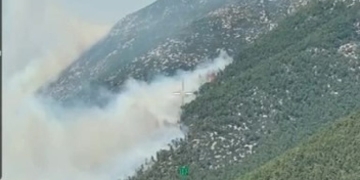 Δείτε βίντεο: Θερμική κάμερα αποτυπώνει το πύρινο μέτωπο στη Λιβαδόστρα Βοιωτίας