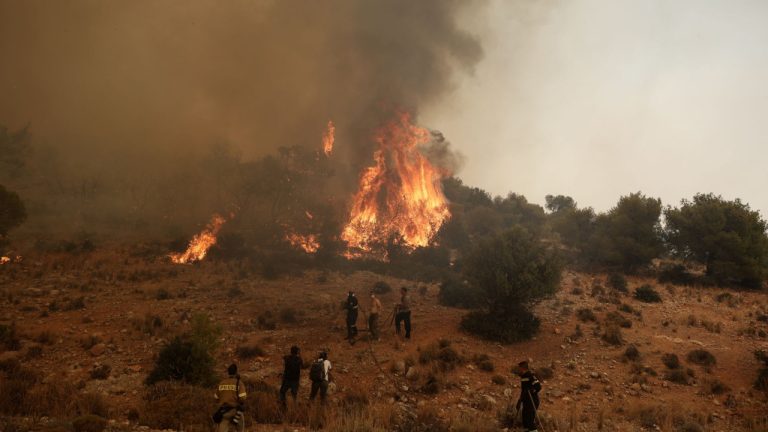 «Δεν είχα δει ποτέ τέτοιο άνεμο»: Οι εμπειρίες Ελλήνων και Γάλλων πυροσβεστών από τα πύρινα μέτωπα