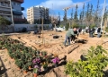 Δήμος Αθηναίων: 43 σχολικές αυλές γίνονται πιο πράσινες και πιο δροσερές