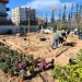 Δήμος Αθηναίων: 43 σχολικές αυλές γίνονται πιο πράσινες και πιο δροσερές