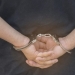 Δύο συλλήψεις για μεταφορά μεταναστών σε Έβρο και Ροδόπη