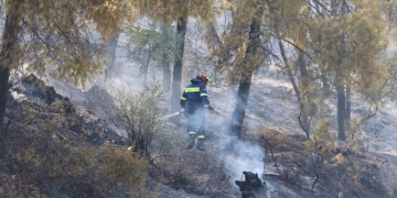 Δύο συλλήψεις σε Τρίκαλα και Κάρυστο για εμπρησμό από πρόθεση και για πυρκαγιά από αμέλεια