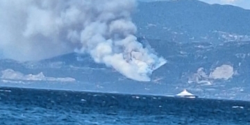 Φωτιά σε δασική έκταση κοντά σε οικισμό στη Φωκίδα - Ισχυρές δυνάμεις στη μάχη της κατάσβεσης