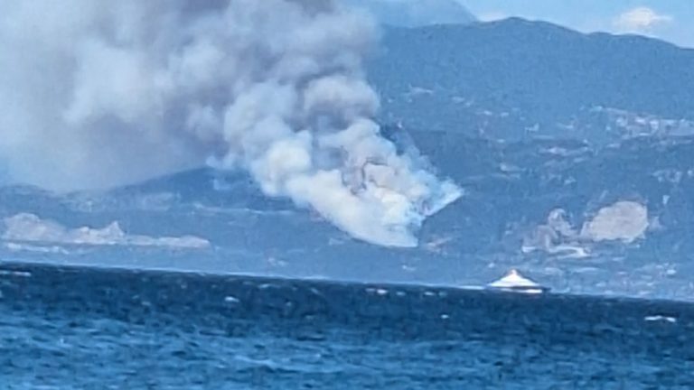 Φωτιά σε δασική έκταση κοντά σε οικισμό στη Φωκίδα - Ισχυρές δυνάμεις στη μάχη της κατάσβεσης