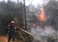 Φωτιά σε δασική έκταση στον Κόμιτο Καρύστου