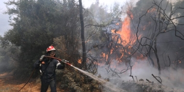 Φωτιά σε δασική έκταση στον Κόμιτο Καρύστου