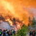 Φωτιά στα Κοττέικα Ηλείας - Επιχειρούν 7 εναέρια