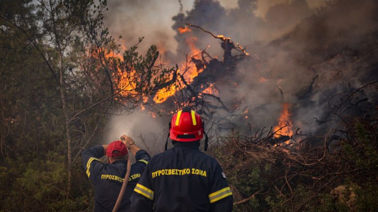 Φωτιά στη Χαλκιδική: Μάχη με τις διάσπαρτες εστίες για 2η ημέρα