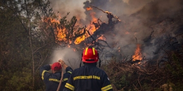 Φωτιά στη Σίβηρη Χαλκιδικής: Κατέθεσαν στη ΔΑΕΕ ο διευθυντής και ο υπεύθυνος εκμετάλλευσης του ΔΕΔΔΗΕ