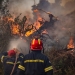 Φωτιά στη Σίβηρη Χαλκιδικής: Κατέθεσαν στη ΔΑΕΕ ο διευθυντής και ο υπεύθυνος εκμετάλλευσης του ΔΕΔΔΗΕ