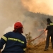 Φωτιά τα ξημερώματα στη Σητεία