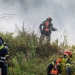 Φωτιά τώρα στον Κουβαρά - Ενισχύθηκαν και άλλο οι δυνάμεις της πυροσβεστικής