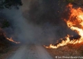 Φωτιές και εκκενώσεις και στη Γερμανία
