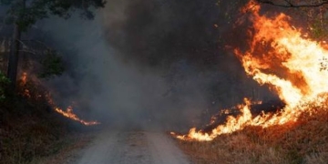 Φωτιές και εκκενώσεις και στη Γερμανία