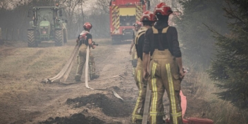 Γερμανία: Επείγει η αλλαγή προς μικτά δάση, καθώς οι δασικές πυρκαγιές επεκτείνονται σε πιο υγρές περιφέρειες