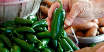 ΗΠΑ: Ανάκληση μεξικανικών πιπεριών jalapeño μετά από ξέσπασμα σαλμονέλας – 345 κρούσματα σε 27 πολιτείες