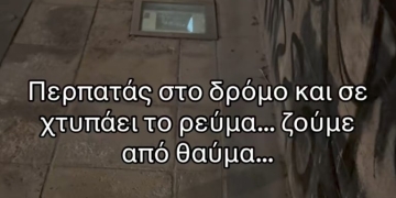 Ηράκλειο: Η καταγγελία μέσα από το TikTok για διαρροή ρεύματος και ηλεκτροπληξία σκύλου – Τι απαντάει ο Δήμος