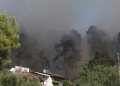Και όμως υπάρχει ελπίδα: Σε 15-20 χρόνια θα υπάρχει νέο δάσος στη Χαλκιδική, δήλωσε καθηγητής του ΑΠΘ