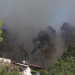 Και όμως υπάρχει ελπίδα: Σε 15-20 χρόνια θα υπάρχει νέο δάσος στη Χαλκιδική, δήλωσε καθηγητής του ΑΠΘ