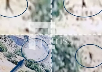 Καρέ-καρέ η στιγμή που ο εμπρηστής με τα μαύρα βάζει φωτιά και καίει το Ρέθυμνο - Δείτε βίντεο