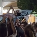 «Καρίνα των Ανωγειανών»: Ποια είναι η ηλικιωμένη που έφτασε με… ξαπλώστρα σε πανηγύρι στις Μαργαρίτες Ρεθύμνου