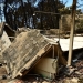 Κατσαφάδος για αποζημιώσεις πυρόπληκτων: Έως 1.000 ευρώ ανά τ.μ. για κατεστραμμένες κατοικίες –Πότε ξεκινούν οι αιτήσεις