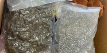 Κρήτη: Έκρυβαν 12 κιλά κάνναβη και κοκαΐνη σε κούτες με παιχνίδια!