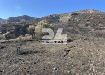 Λέκκας για πυρκαγιές στο νότιο Ρέθυμνο: Θα πρέπει να γίνουν περιορισμένες επεμβάσεις στις πληγείσες περιοχές