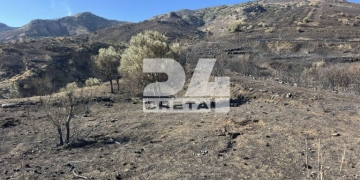 Λέκκας για πυρκαγιές στο νότιο Ρέθυμνο: Θα πρέπει να γίνουν περιορισμένες επεμβάσεις στις πληγείσες περιοχές