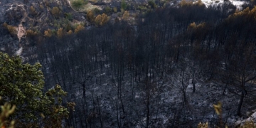 Μεγάλη φωτιά κοντά στα Τίρανα: Εκκενώσεις χωριών, συνδρομή του στρατού και μία σύλληψη - Δείτε βίντεο
