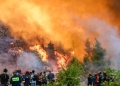 Meteo: Η ενέργεια της φωτιάς σε Δυτική Αττική και Βοιωτία ισούται με 6 βόμβες Χιροσίμα - Στάχτη 111.732 στρέμματα
