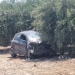 Μοίρες: Αυτοκίνητο “καρφώθηκε” σε ελιές