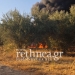 Μυλοπόταμος: Συναγερμός για φωτιά στην Αξό