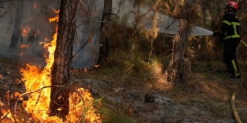 Ολλανδία: Μάχη με τις φλόγες από εκατοντάδες πυροσβέστες σε μεγάλο δάσος φυσικού καταφυγίου