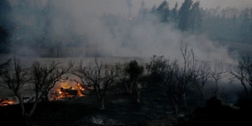 Ολονύχτια μάχη με διάσπαρτες εστίες και αναζωπυρώσεις στη Χαλκιδική
