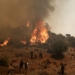 Οριοθετημένη η φωτιά στη Δυτική Αχαΐα
