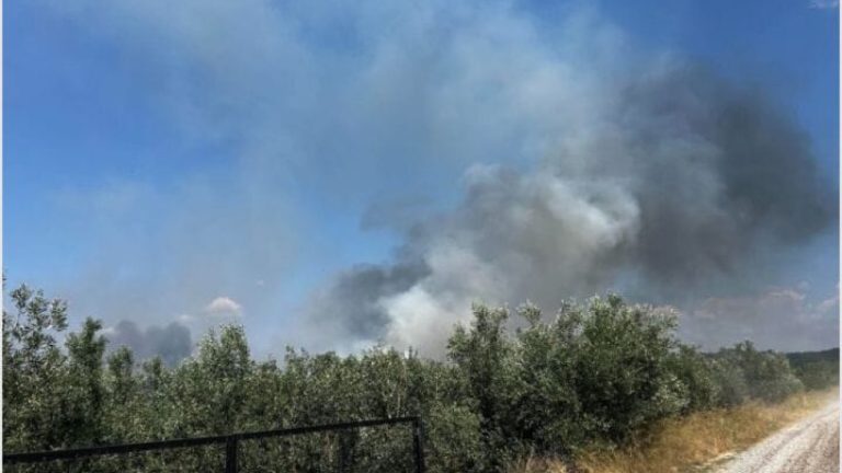 Οριοθετήθηκε η φωτιά στο Αγρίνιο - Δεν απειλεί η φωτιά στην Καλαμάτα