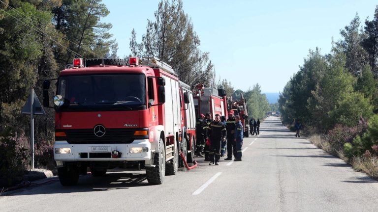 Οριοθετήθηκε η φωτιά στο Παλαιοχώρι Χαλκιδικής