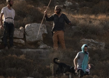 Πάνω από 300 Ισραηλινοί έφεδροι κατά της « τρομοκρατίας των εποίκων» στη Δυτική Όχθη