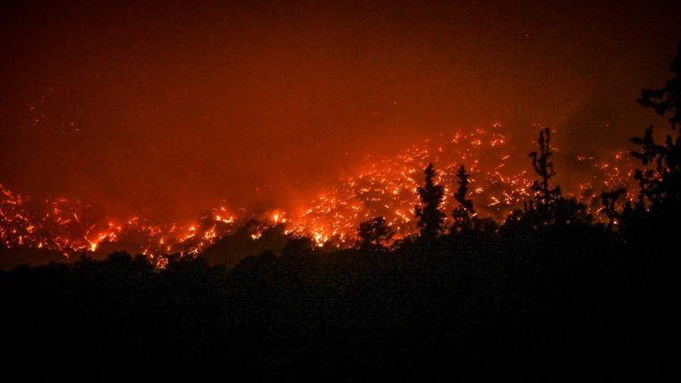 Περισσότερα από 7000 στρέμματα η πληγείσα έκταση από την πυρκαγιά στην Αιγιάλεια - Δείτε χάρτες