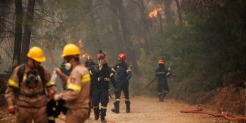 ΠΟΓΕΔΥ: Απάντηση στις επικρίσεις για το Antinero – «Η πρόληψη δεν καταργεί τον κίνδυνο πυρκαγιάς»