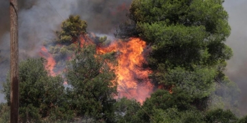 Πολύ υψηλός ο κίνδυνος εκδήλωσης πυρκαγιάς: Σε κατάσταση Red Code το Σάββατο η Κρήτη