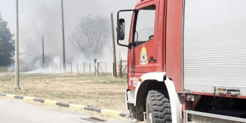 Πυρκαγιά σε αγροτοδασική έκταση στη Θήβα – Ισχυρή κινητοποίηση της Πυροσβεστικής