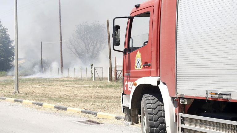 Πυρκαγιά σε αγροτοδασική έκταση στη Θήβα – Ισχυρή κινητοποίηση της Πυροσβεστικής