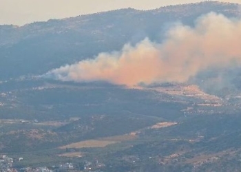 Πυρκαγιά σε δασική έκταση στα Αϊβαλιώτικα Βόλου - Επιχειρούν 5 εναέρια