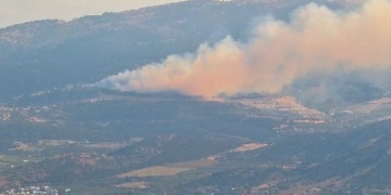 Πυρκαγιά σε δασική έκταση στα Αϊβαλιώτικα Βόλου - Επιχειρούν 5 εναέρια