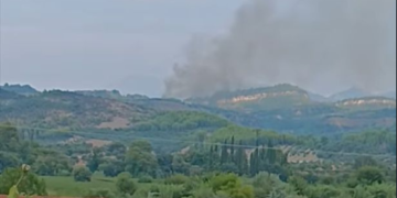 Πυρκαγιά σε δασική έκταση στην περιοχή Μουζάκι, στον Πύργο Ηλείας - 7 αεροσκάφη και 2 ελικόπτερα στην κατάσβεση