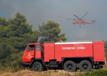Πυρκαγιά σε δασική έκταση στην Τριάδα Ιωαννίνων: Σηκώθηκε και 1 ελικόπτερο